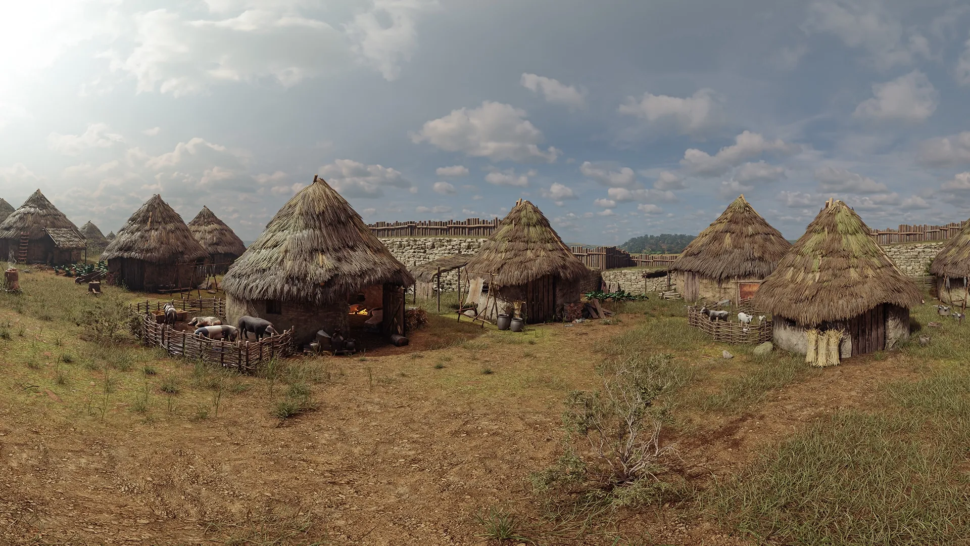 Image Campa Torres