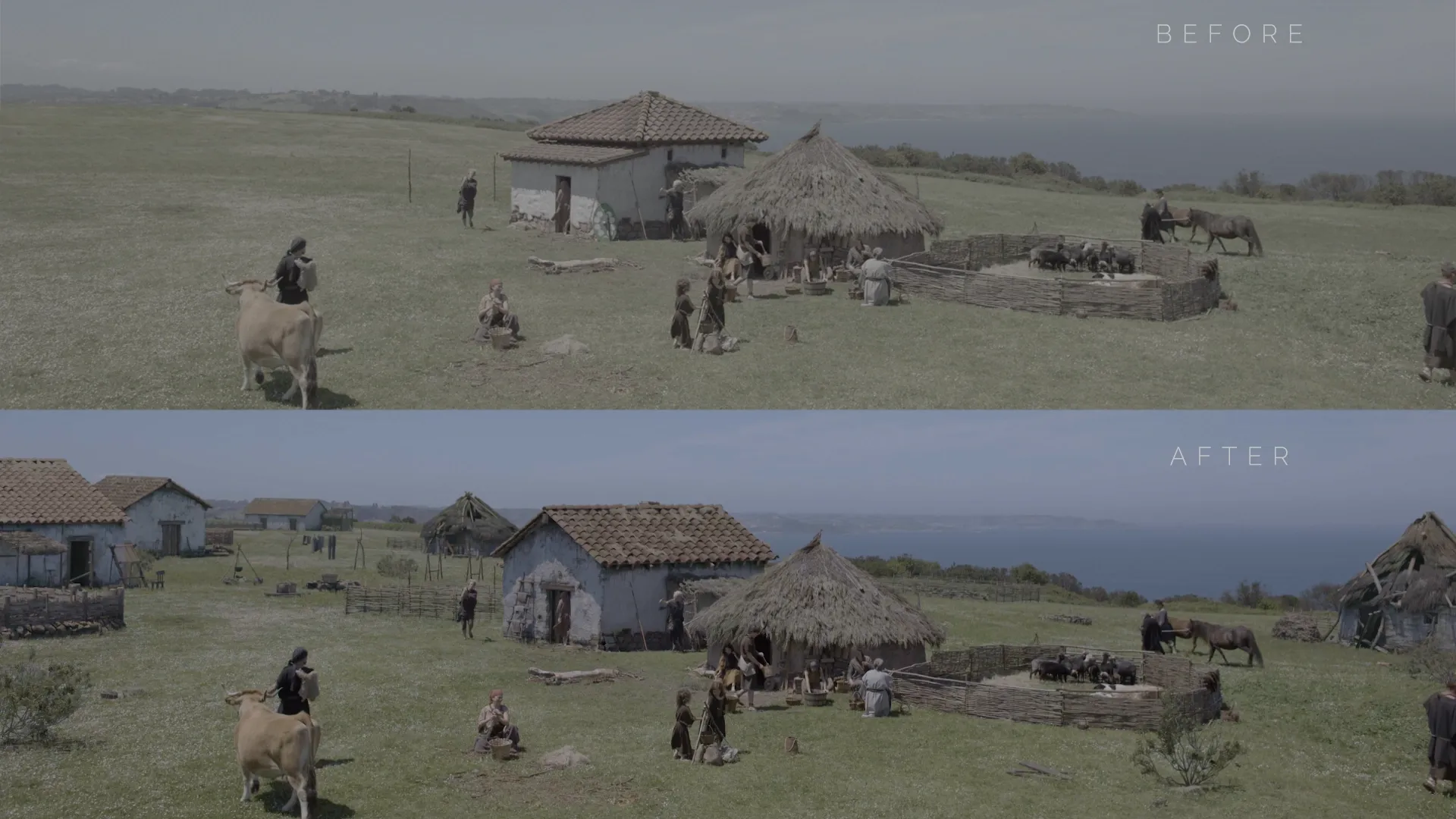 Image Campa Torres
